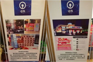 成功案例展示